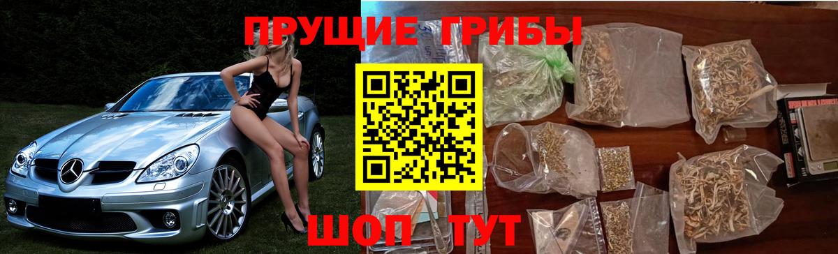 Воркута  Псилоцибиновые грибы ЛСД  Вход с VPN  Галлюциногенные грибы прущие грибы 